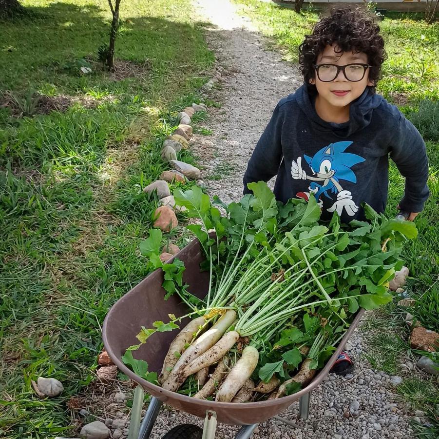 Ecovilab Guaratinguetá Esterno foto